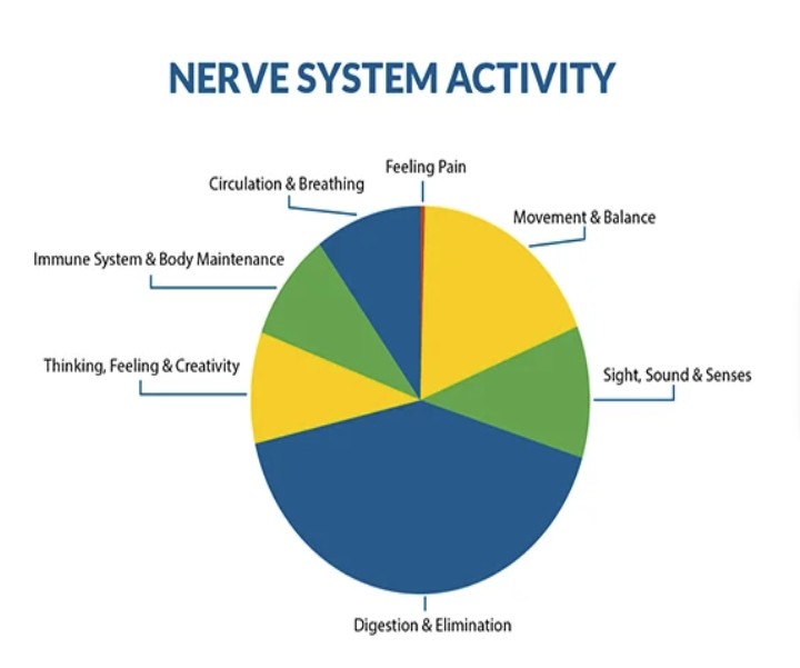 chiropractic myths pie chart